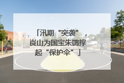 汛期“突袭”，崀山为国宝朱鹮撑起“保护伞”
