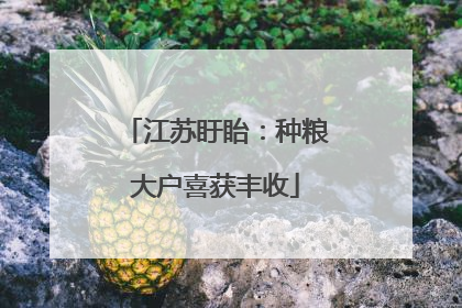 江苏盱眙：种粮大户喜获丰收