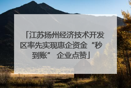江苏扬州经济技术开发区率先实现惠企资金“秒到账” 企业点赞