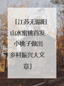 江苏无锡阳山水蜜桃首发 小桃子做出乡村振兴大文章