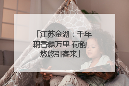 江苏金湖：千年藕香飘万里 荷韵悠悠引客来