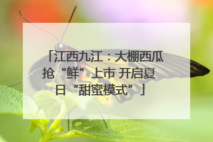 江西九江：大棚西瓜抢“鲜”上市 开启夏日“甜蜜模式”