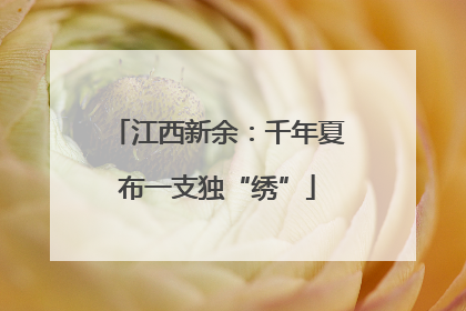 江西新余：千年夏布一支独“绣”