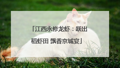 江西永修龙虾：跃出稻虾田 飘香京城宴
