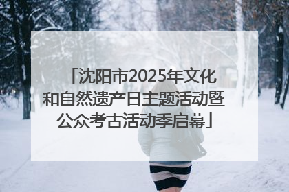 沈阳市2025年文化和自然遗产日主题活动暨公众考古活动季启幕