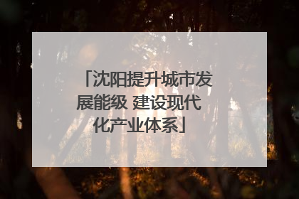 沈阳提升城市发展能级 建设现代化产业体系