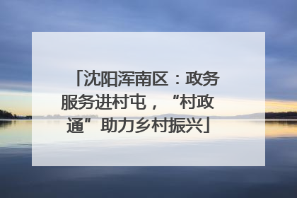 沈阳浑南区：政务服务进村屯，“村政通”助力乡村振兴