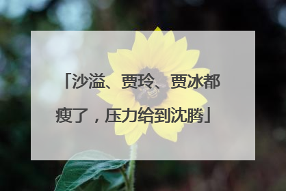 沙溢、贾玲、贾冰都瘦了，压力给到沈腾