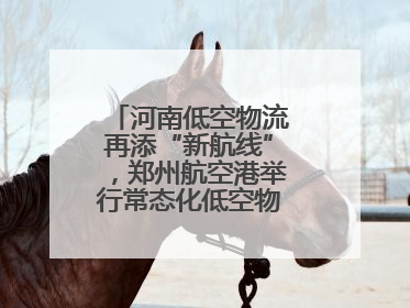 河南低空物流再添“新航线”，郑州航空港举行常态化低空物流试飞活动