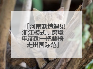 河南制造遇见浙江模式，跨境电商助一把藤椅走出国际范