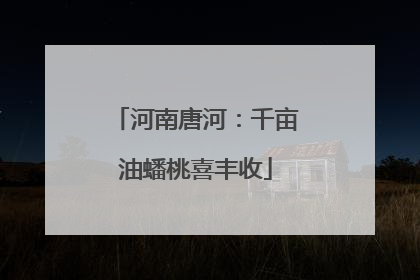 河南唐河：千亩油蟠桃喜丰收