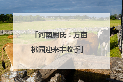 河南尉氏：万亩桃园迎来丰收季
