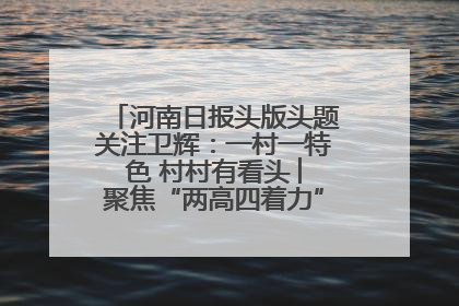 河南日报头版头题关注卫辉：一村一特色 村村有看头 ︳聚焦“两高四着力”·一“县”观察
