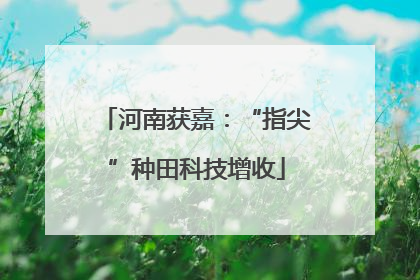 河南获嘉：“指尖”种田科技增收