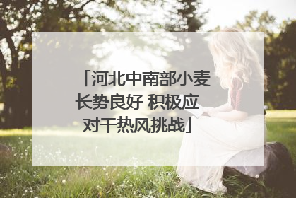 河北中南部小麦长势良好 积极应对干热风挑战