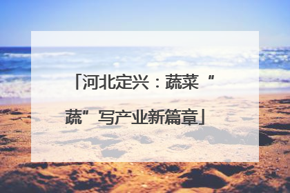 河北定兴：蔬菜“蔬”写产业新篇章
