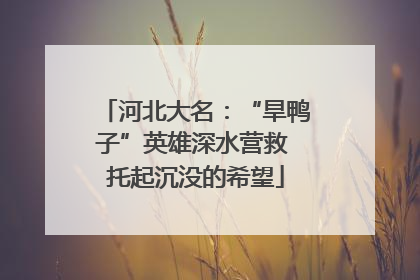 河北大名：“旱鸭子”英雄深水营救 托起沉没的希望