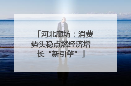 河北廊坊：消费势头稳点燃经济增长“新引擎”