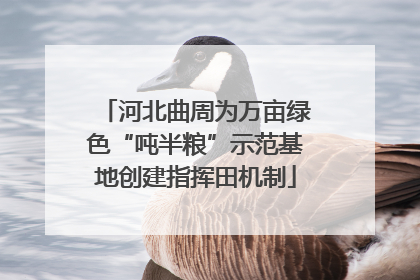河北曲周为万亩绿色“吨半粮”示范基地创建指挥田机制
