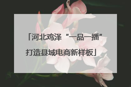 河北鸡泽“一品一播”打造县域电商新样板