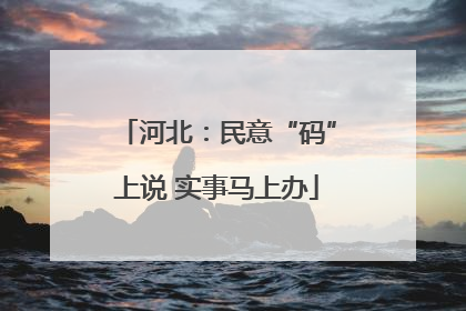 河北：民意“码”上说 实事马上办