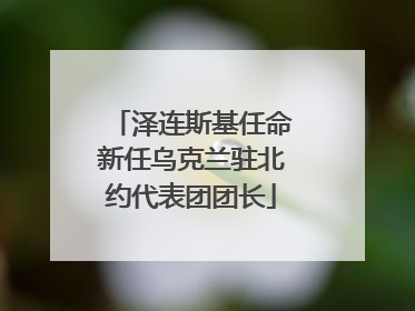 泽连斯基任命新任乌克兰驻北约代表团团长