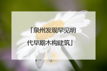 泉州发现罕见明代早期木构建筑