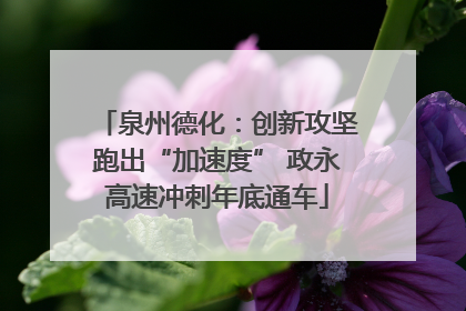 泉州德化：创新攻坚跑出“加速度” 政永高速冲刺年底通车