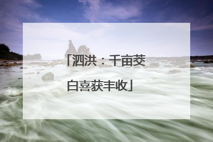 泗洪：千亩茭白喜获丰收