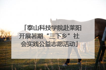 泰山科技学院赴莱阳开展暑期“三下乡”社会实践公益志愿活动