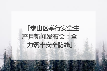 泰山区举行安全生产月新闻发布会：全力筑牢安全防线