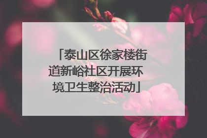 泰山区徐家楼街道新峪社区开展环境卫生整治活动