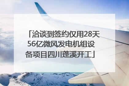 洽谈到签约仅用28天 56亿微风发电机组设备项目四川蓬溪开工