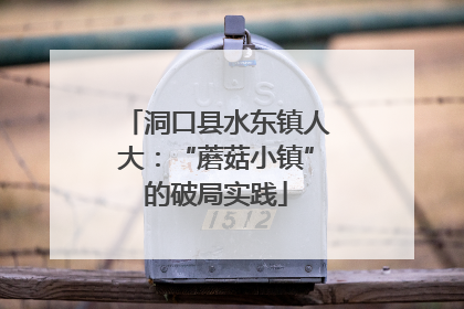 洞口县水东镇人大：“蘑菇小镇”的破局实践