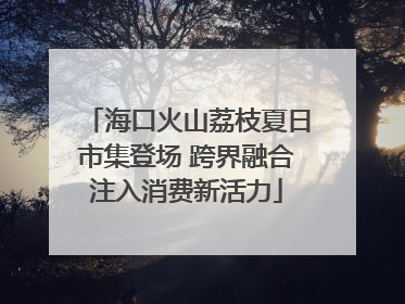海口火山荔枝夏日市集登场 跨界融合注入消费新活力