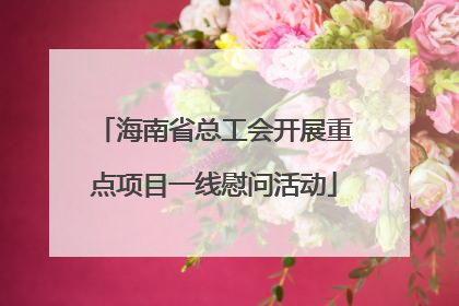 海南省总工会开展重点项目一线慰问活动