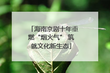 海南京剧十年重燃“烟火气” 筑就文化新生态