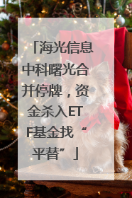 海光信息中科曙光合并停牌，资金杀入ETF基金找“平替”