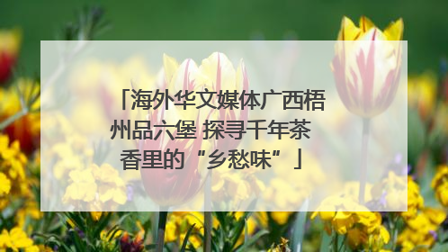 海外华文媒体广西梧州品六堡 探寻千年茶香里的“乡愁味”