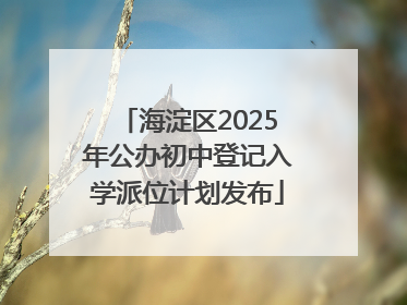 海淀区2025年公办初中登记入学派位计划发布