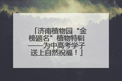 济南植物园“金榜题名”植物特辑——为中高考学子送上自然祝福！