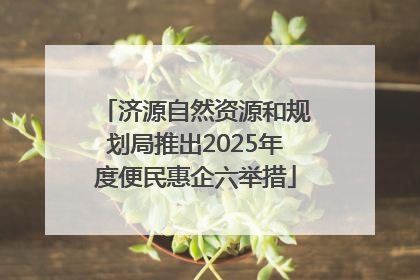 济源自然资源和规划局推出2025年度便民惠企六举措