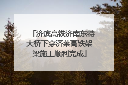 济滨高铁济南东特大桥下穿济莱高铁架梁施工顺利完成