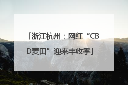 浙江杭州：网红“CBD麦田”迎来丰收季