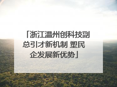 浙江温州创科技副总引才新机制 塑民企发展新优势