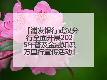 浦发银行武汉分行全面开展2025年普及金融知识万里行宣传活动