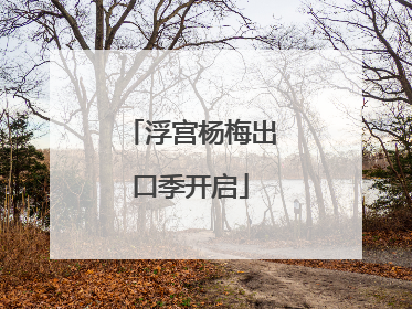 浮宫杨梅出口季开启