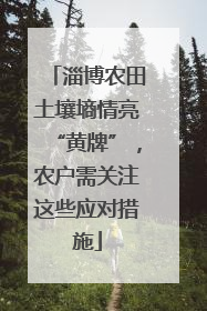 淄博农田土壤墒情亮“黄牌”，农户需关注这些应对措施
