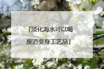 淡化海水可以喝 废渣变身工艺品