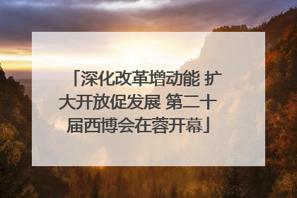 深化改革增动能 扩大开放促发展 第二十届西博会在蓉开幕